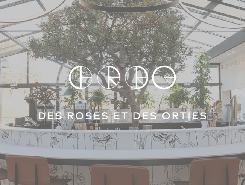 Des Roses et des orties x Hayuco - Hayuco Coffee Roasters  -  torréfacteur toulouse - Specialty Coffee Toulouse